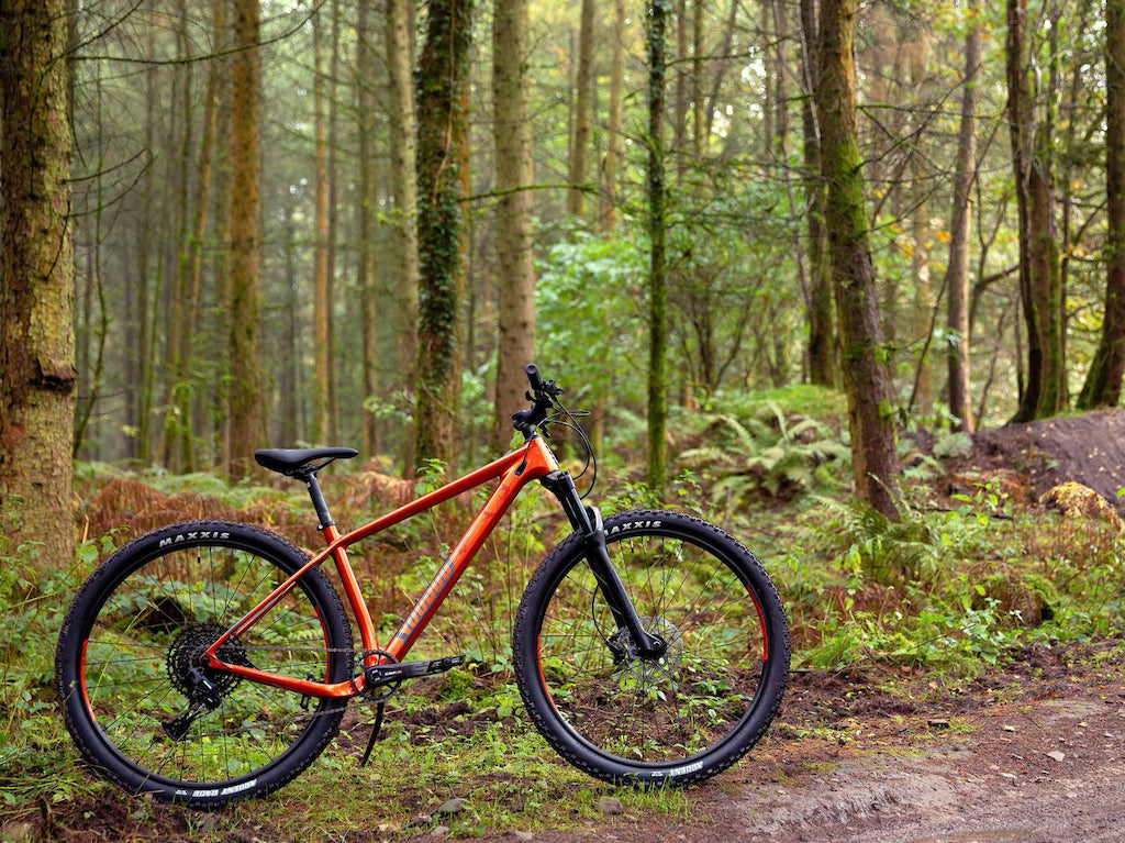 Voodoo Bizango Carbon Mountain Bike 29