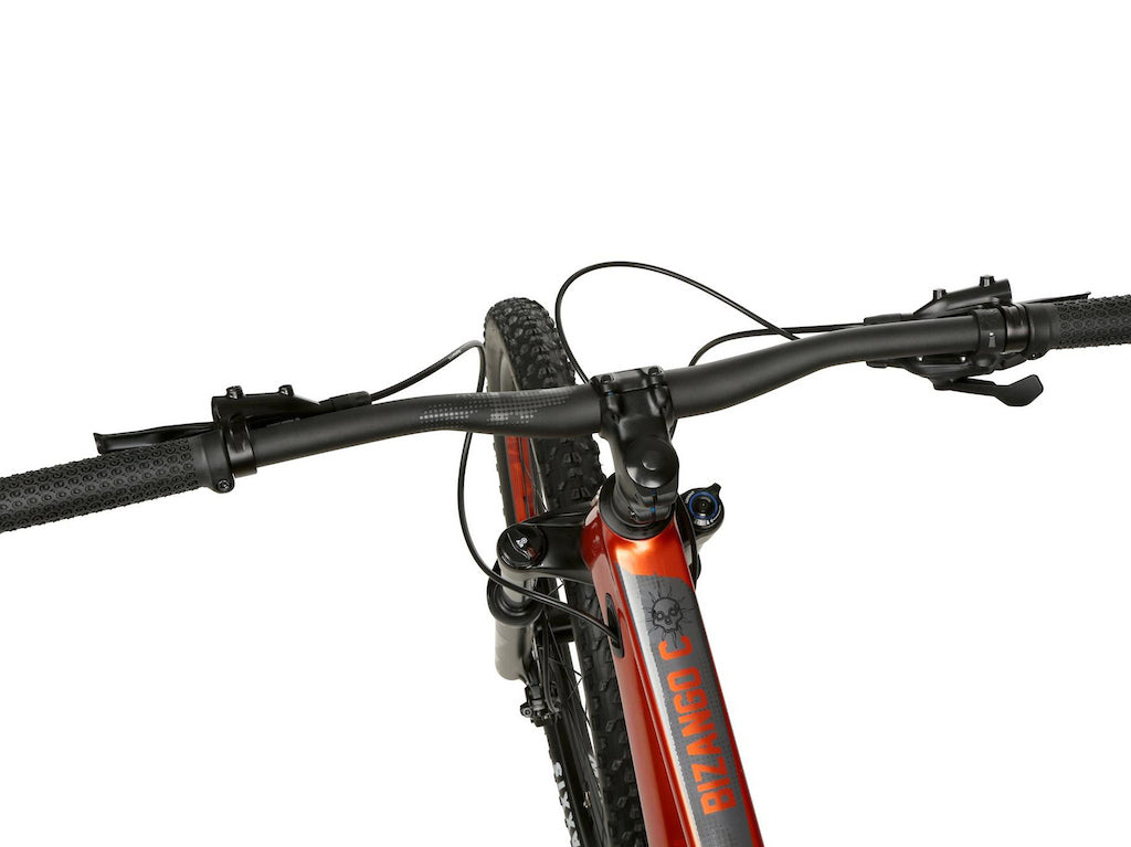 Voodoo Bizango Carbon Mountain Bike 29