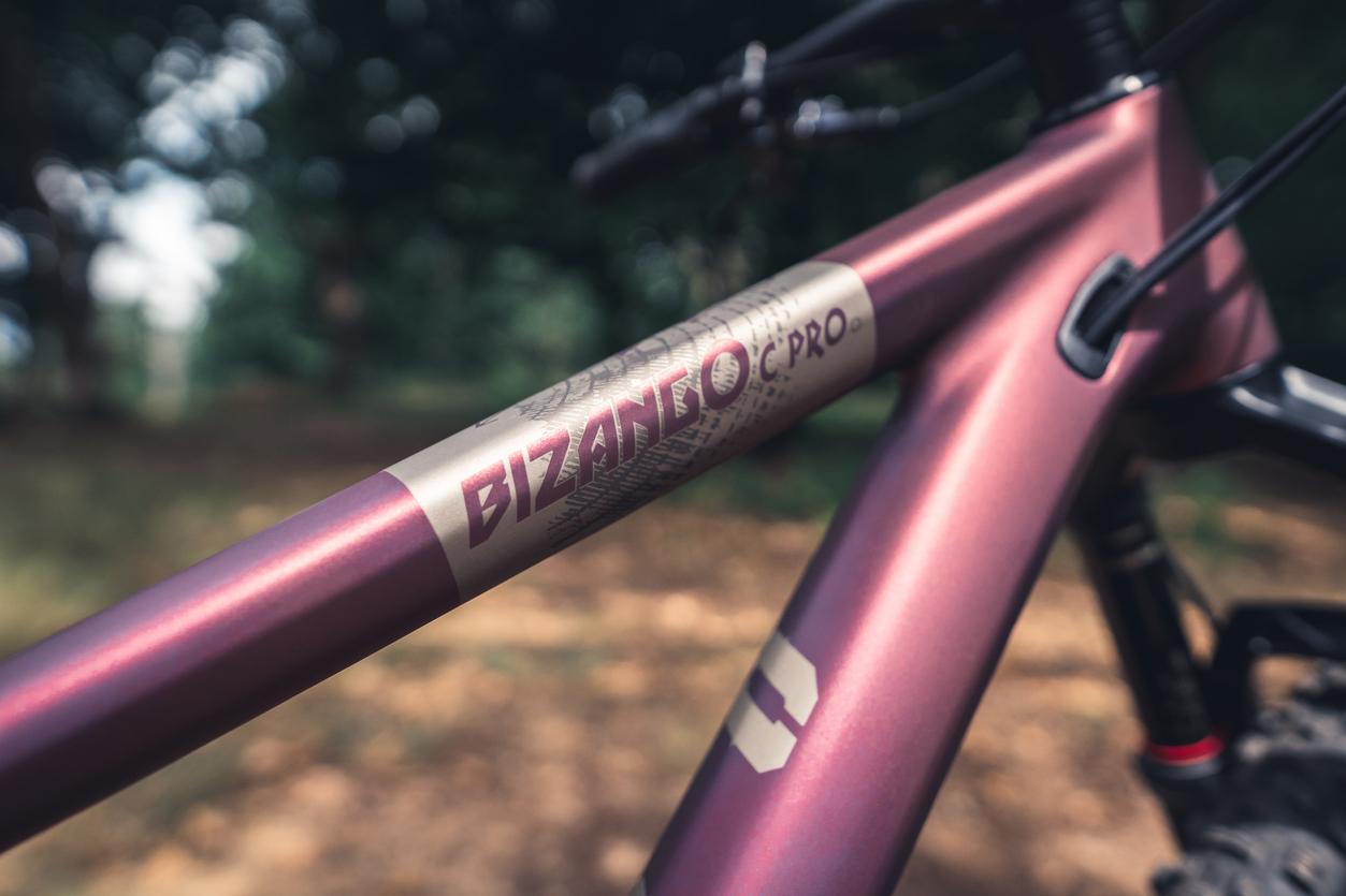 Voodoo Bizango Carbon Pro Mountain Bike 29